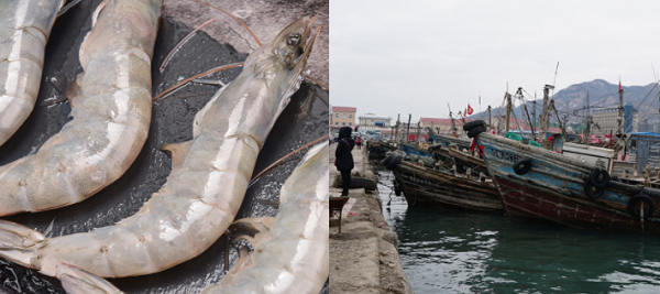 建造一個(gè)海鮮冷庫(kù)多少錢(qián)？